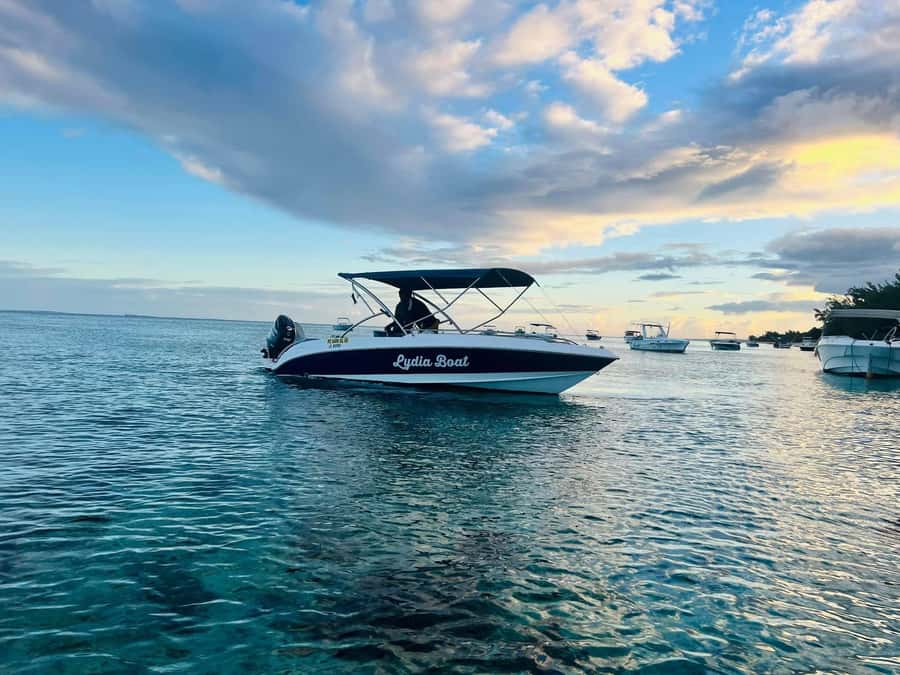 Private :Whales and dolphins watching/Swimming with dolphins - Should you book Lydia Boat Mauritius?