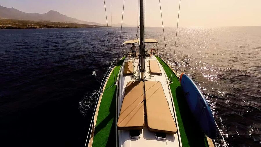 Private Whales & Dolphins Excursion: for you exclusively! - Paddleboarding for a Change of Pace