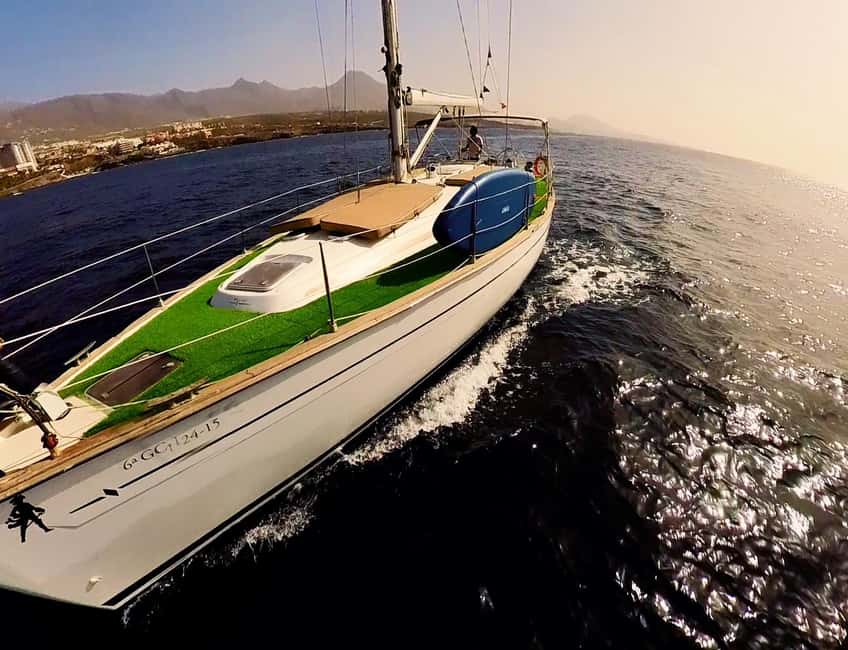 Private Whales & Dolphins Excursion: for you exclusively! - Tapas, Charcuterie, and Unlimited Drinks