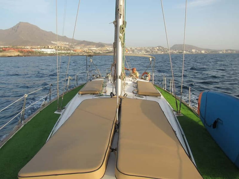 Private Whales & Dolphins Excursion: for you exclusively! - The Guides Make the Difference