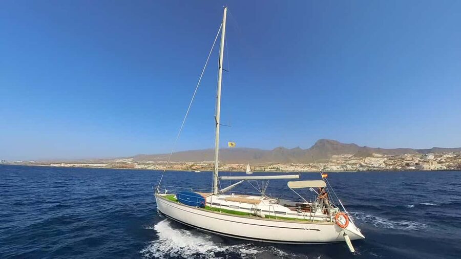 Private Whales & Dolphins Excursion: for you exclusively! - What the $530 Price Really Buys