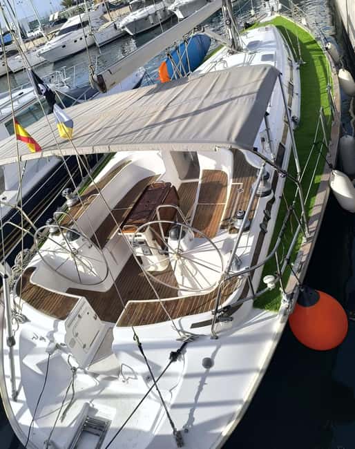 Private Whales & Dolphins Excursion: for you exclusively! - Cruising Along Costa Adeje