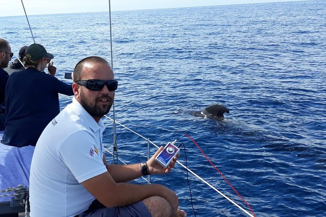 Private Yacht Tour With Whale and Dolphin Watching 33 Foot Boat - How Much Value Does the Private Cruise Offer?