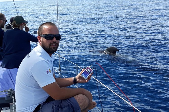 Private Yacht Tour With Whale and Dolphin Watching 42 Foot Boat - Champagne, open drinks, and light food