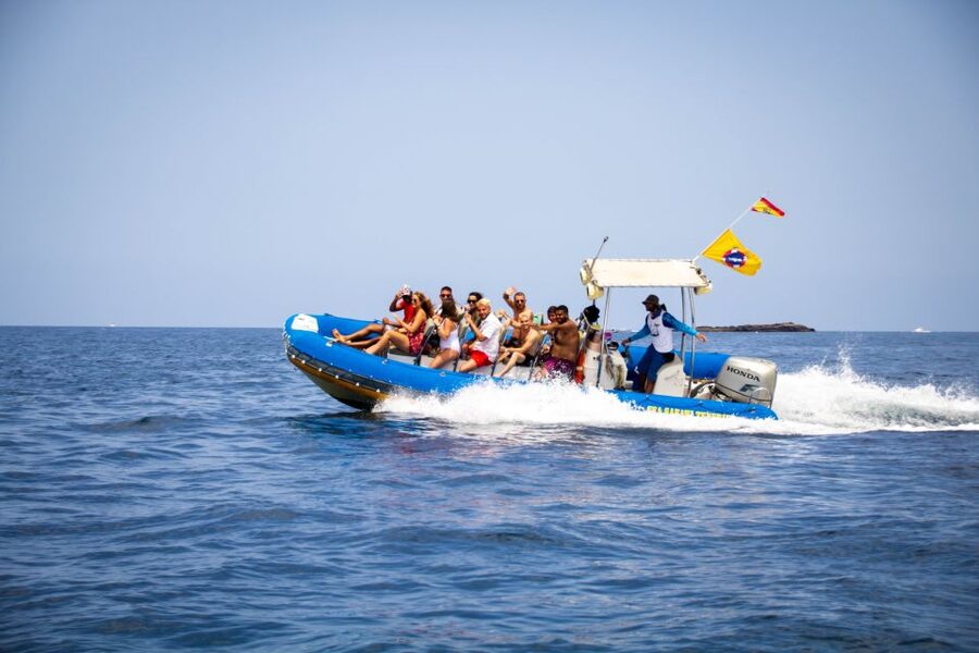 Puerto Colon: Dolphin and Whale Watching Speedboat Cruise - The return along Tenerife’s southern coast