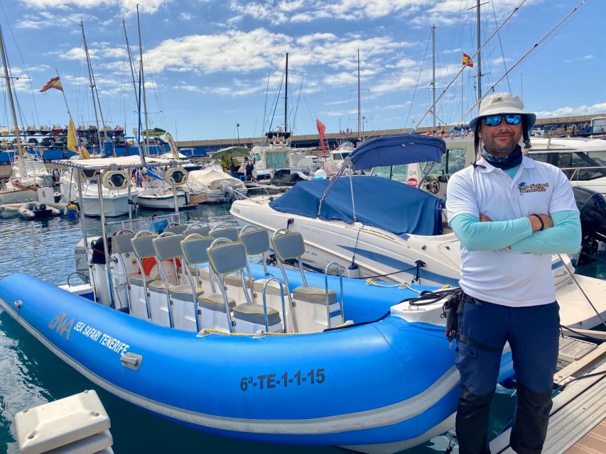 Puerto Colon: Dolphin and Whale Watching Speedboat Cruise - What the $77 price really buys you