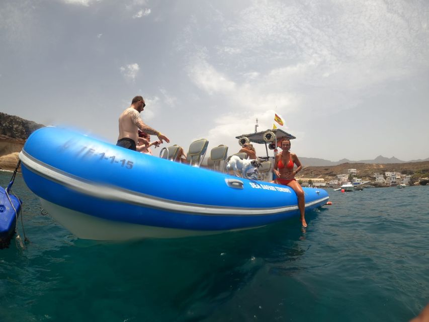 Puerto Colon: Dolphin and Whale Watching Speedboat Cruise - Searching for dolphins, pilot whales, and flying fish
