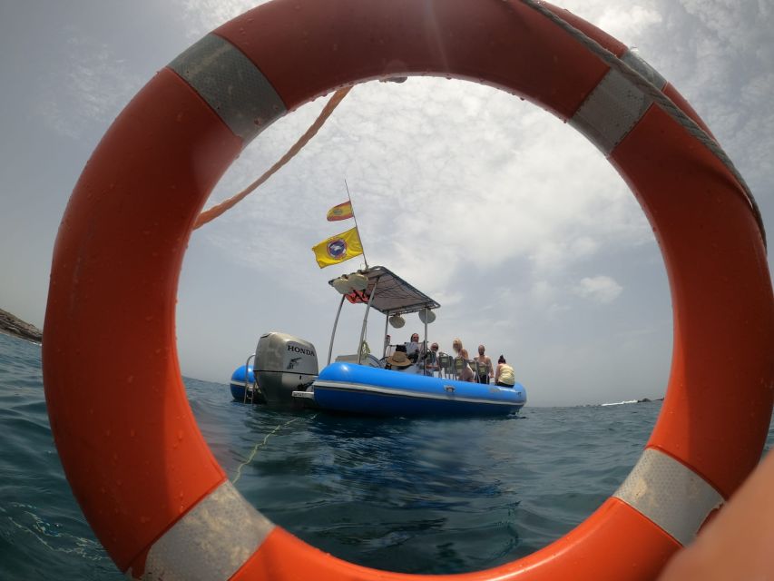 Puerto Colon: Dolphin and Whale Watching Speedboat Tour - Leaving Puerto Colón for the Open Atlantic