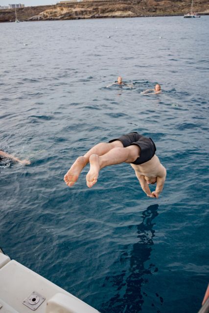 Puerto Colon: Whale and Dolphin Watching Yacht Trip - The value of $56 per person
