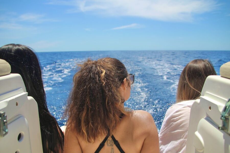 Puerto Colon : Whale & Dolphins Sailing Excursion - Setting out from Puerto Colon