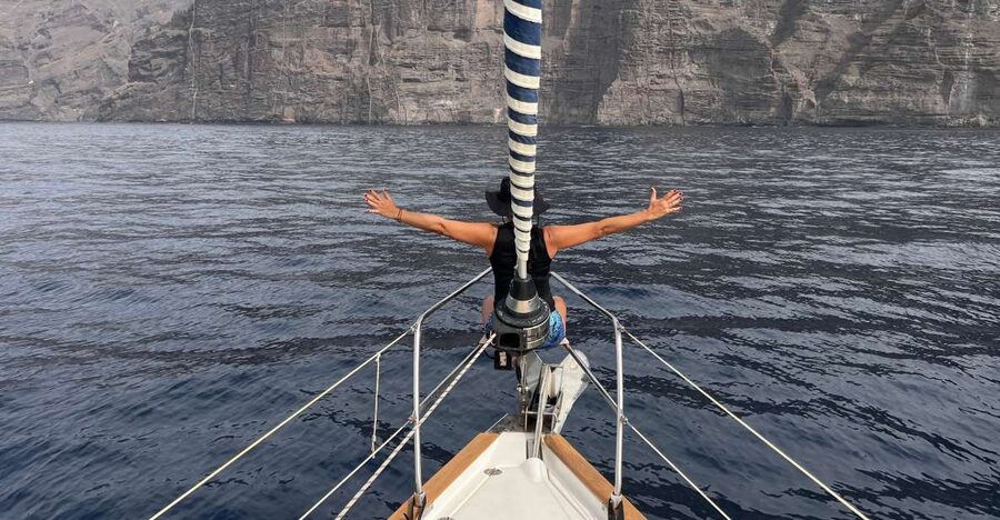 Puerto Colon : Whale & Dolphins Sailing Excursion - Dolphins, turtles, and the limits of wildlife watching