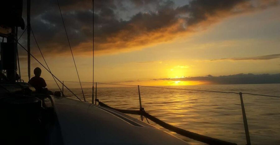 Puerto Colon: Whale-Watching Sailing Tour with Meal & a Swim - Key points to know before you go