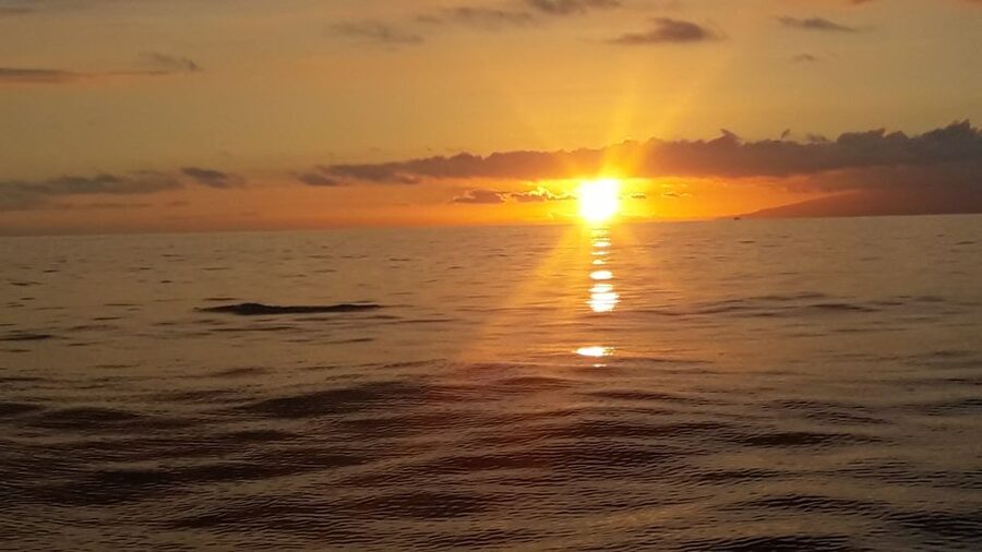 Puerto Colon: Whale-Watching Sailing Tour with Meal & a Swim - Sailing time for views, sun, and sea air