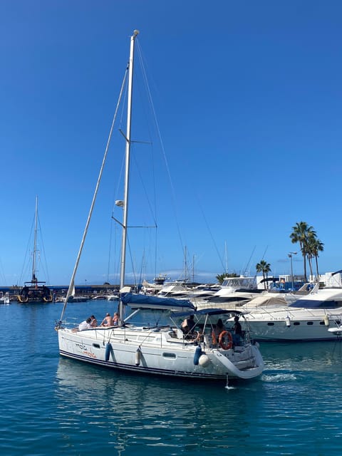 Puerto Colon: Whale-Watching Sailing Tour with Meal & a Swim - What $68 means for the value