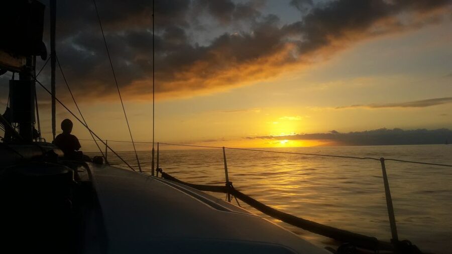 Puerto Colon: Whale-Watching Sailing Tour with Meal & a Swim - Searching the Atlantic for whales and dolphins