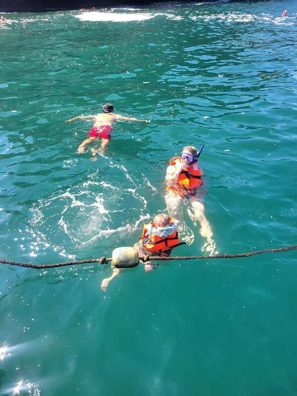 Puerto Vallarta: 3-Hour Whale Watching and Snorkeling - Key points to know before booking