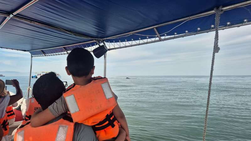 Puerto Vallarta: 3-Hour Whale Watching and Snorkeling - Beach stops, Las Animas, and the missing schedule