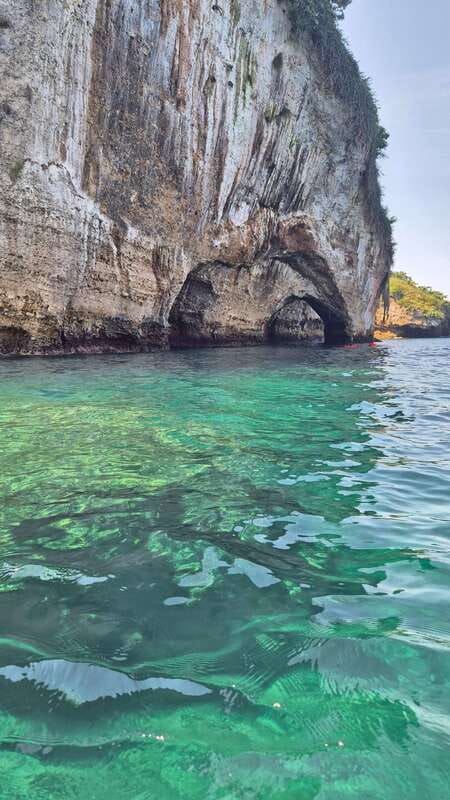 Puerto Vallarta: 3-Hour Whale Watching and Snorkeling - My verdict on Travel vallarta’s whale tour