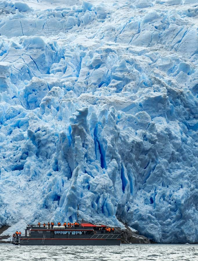 Punta Arenas: Full-Day Whales, Penguins, and Glaciers Tour - Key points before you book