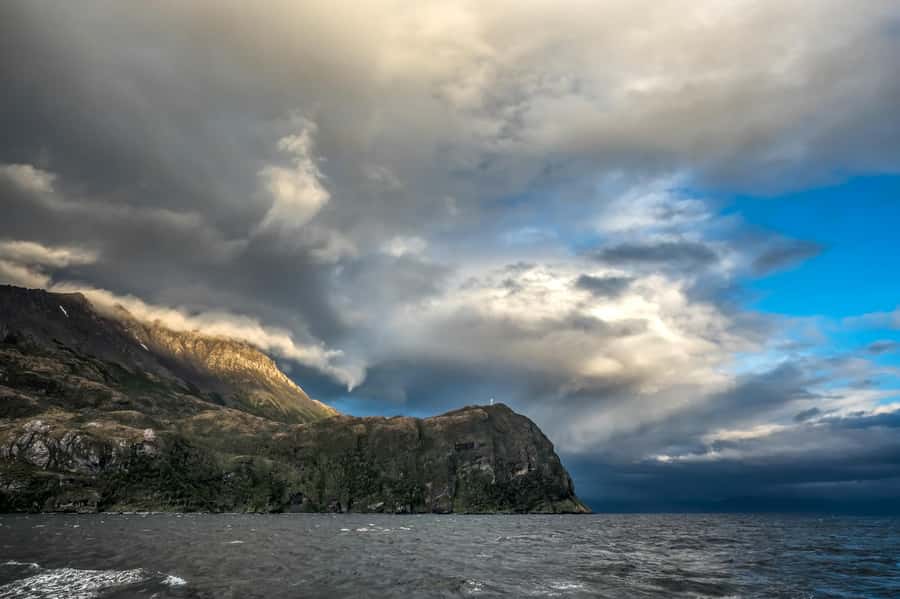 Punta Arenas: Full-Day Whales, Penguins, and Glaciers Tour - Is $365 a fair price?