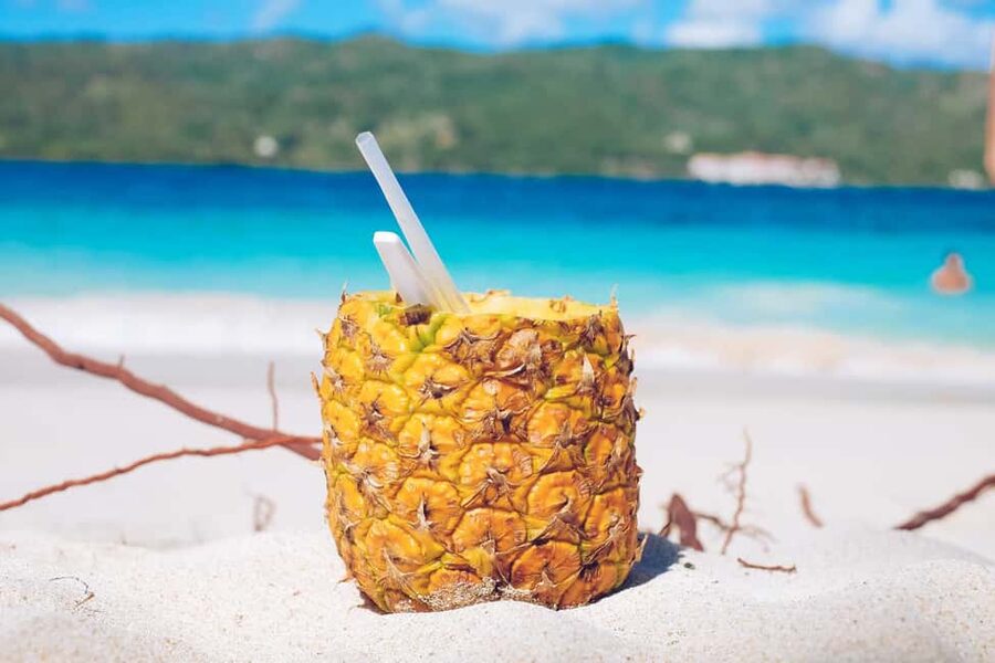 Punta Cana: Samana Full Day Trip Whale Cascada El Limon - Key points before you book