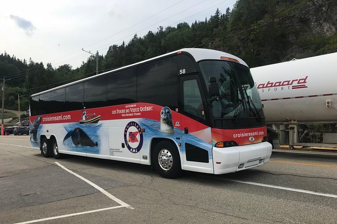 Québec City: Whale Watching Tour with Bus Transportation - Choose the Zodiac for a closer, wetter ride