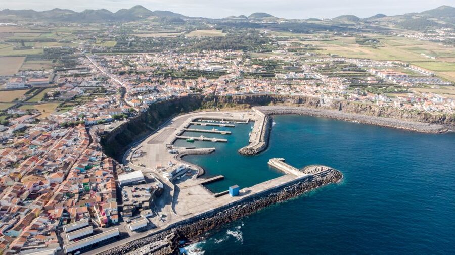Rabo de Peixe: Sperm Whale Sanctuary Expedition - Key points to know before you go