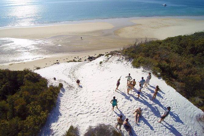 Remote K'gari (Fraser Island) & Whale Experience - Key points to know before booking