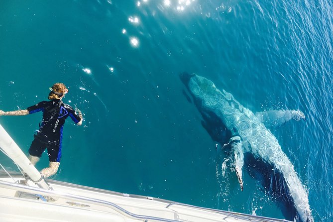 Remote K'gari (Fraser Island) & Whale Experience - The early start at Great Sandy Straits Marina