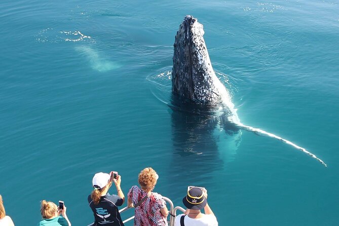 Remote K'gari (Fraser Island) & Whale Experience - Tubing, snorkeling, and the water activities