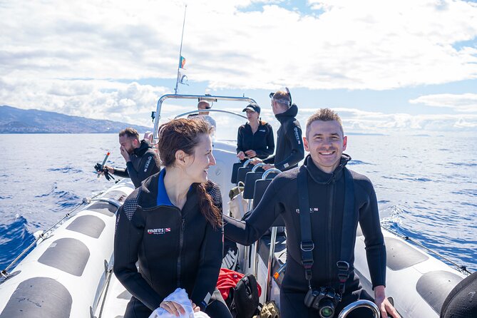 Responsible Whales and/or Dolphins Watching Tour - Is $59.28 Good Value?