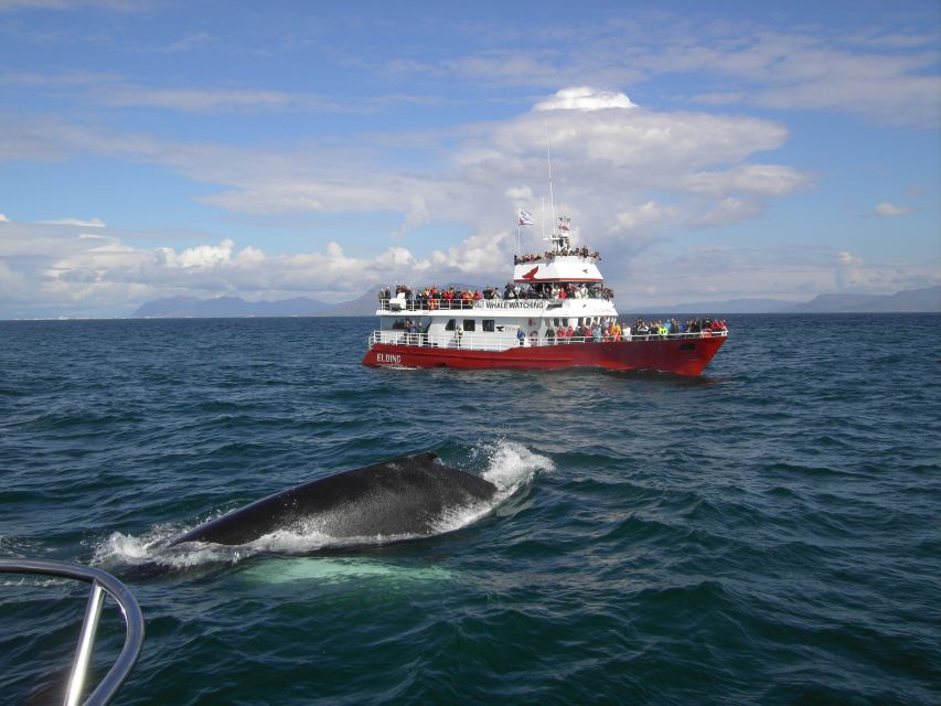 Reykjavik: ATV Ride & Whale Watching Boat Tour - Riding toward Reykjavik Peak