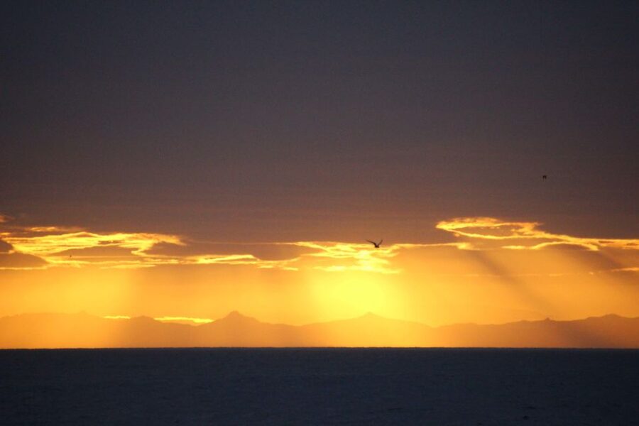 Reykjavík: Midnight Sun Whale Watching Cruise - Why the midnight sun changes the cruise
