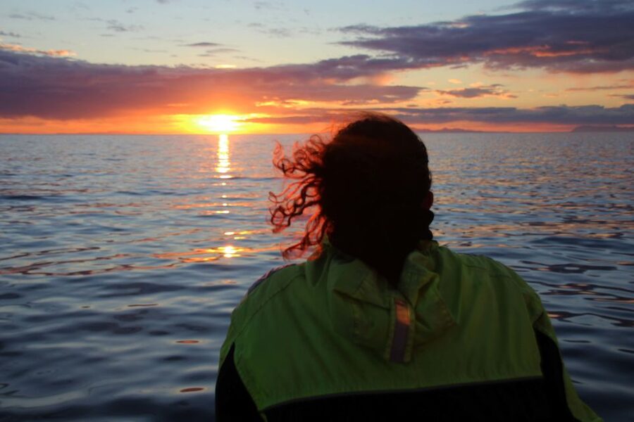 Reykjavík: Midnight Sun Whale Watching Cruise - What the price means at $106