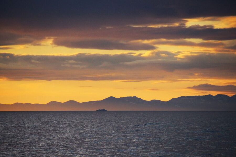Reykjavík: Midnight Sun Whale Watching Cruise - Should you book the Reykjavík midnight sun cruise?