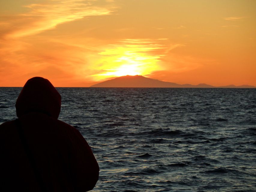Reykjavik: Midnight Sun Whale Watching Tour - Setting out from Reykjavik’s old harbor
