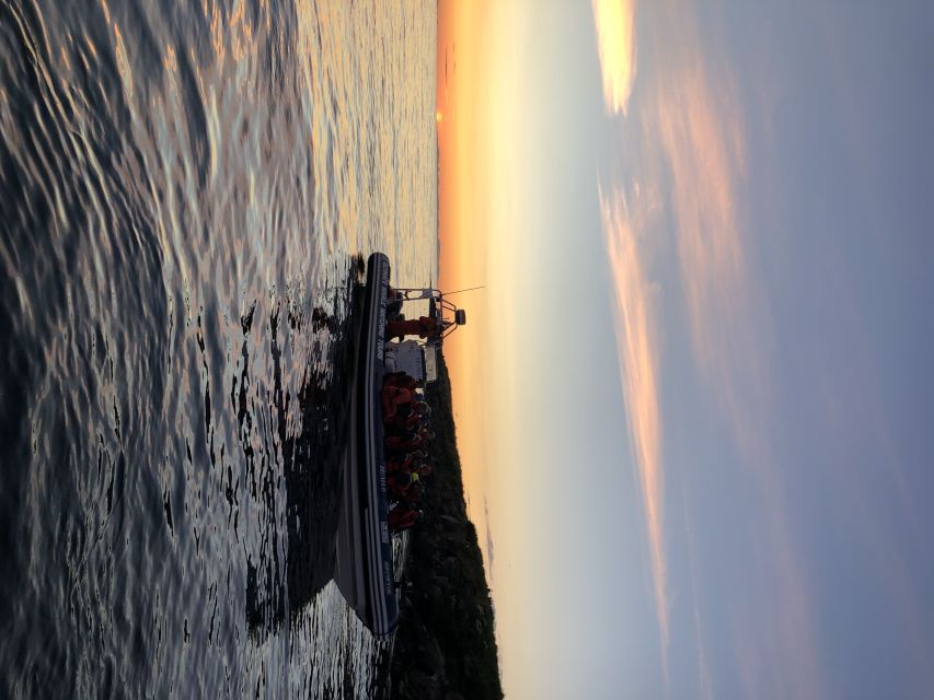 Reykjavik: Premium Whale and Puffin Watching Evening Tour - Searching Faxaflói Bay for whales and dolphins