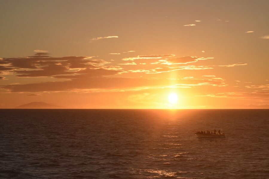 Reykjavik: Premium Whale and Puffin Watching Evening Tour - From Ægisgarður 5 to open water