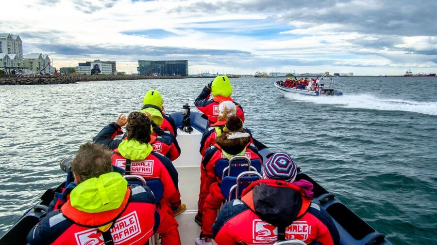Reykjavik: Premium Whale Watching with Flexible Ticket - Should you book the Reykjavik RIB tour?