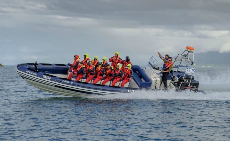Reykjavik: Premium Whale Watching with Flexible Ticket - Searching for humpbacks, minkes, and dolphins