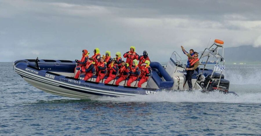 Reykjavik: Premium Whale Watching with Flexible Ticket - What the RIB ride feels like