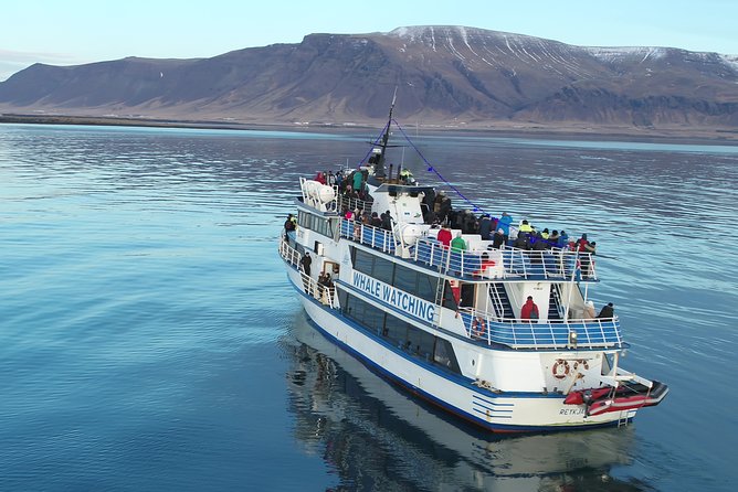 Reykjavik Shore Excursion: Whale-Watching Cruise - Who will enjoy this cruise most