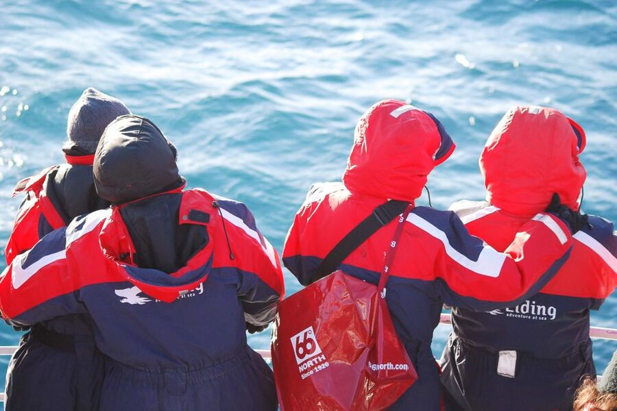Reykjavik: the Original 3-Hour Whale Watching Tour - Practical ways to enjoy the three hours