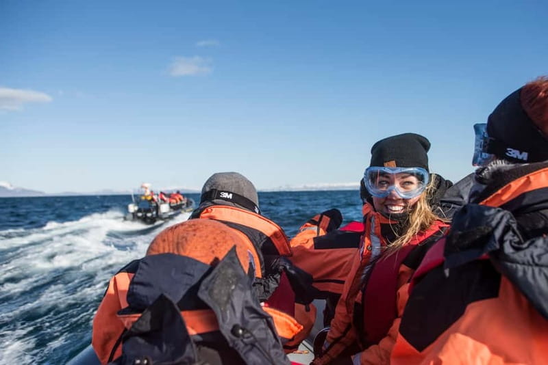 Reykjavik: Whale and Puffin Watching RIB Boat Tour - The first search: puffins around the islands