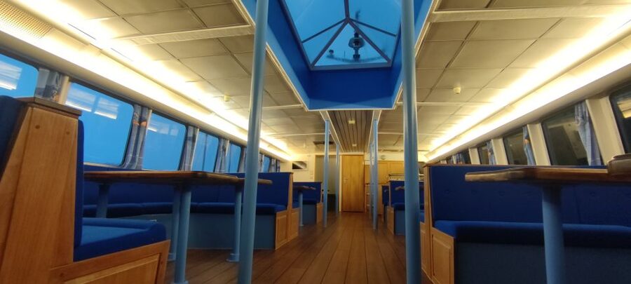 Reykjavik: Whale & Marine Adventure Tour - My verdict on the Reykjavík whale tour
