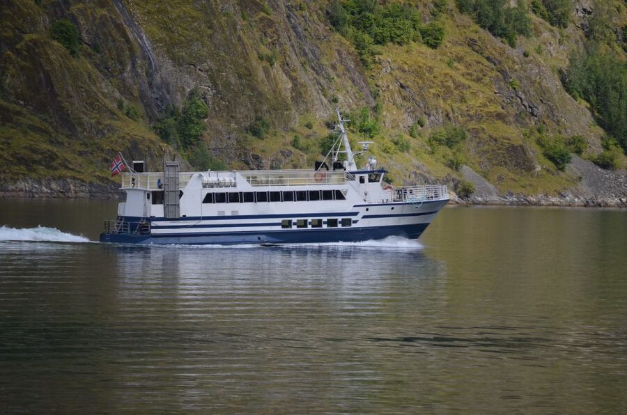 Reykjavik: Whale & Marine Adventure Tour - The timing can change your plans