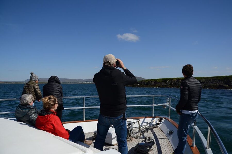 Reykjavik: Whale Watching and Dolphin Watching Yacht Cruise - Who will enjoy this cruise most?