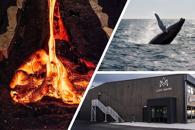 Reykjavik Whale Watching and Lava Show - Feeling real lava at the 50-minute Lava Show