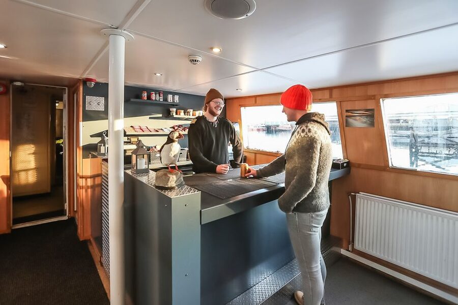 Reykjavík: Whale Watching and Marine Life Cruise - Should you book the Reykjavík whale-watching cruise?