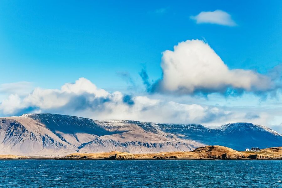 Reykjavík: Whale Watching and Marine Life Cruise - Why the outdoor deck matters